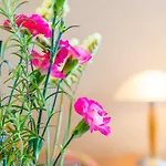 Ferienwohnung Apollonia Falow