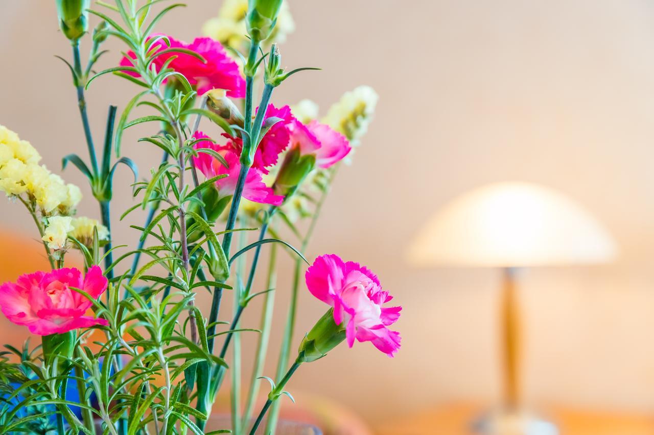 Apartment Ferienwohnung Apollonia Falow